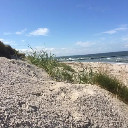 Zur Schwalbe